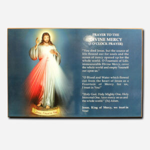 Divine Mercy Prayer - 19 x