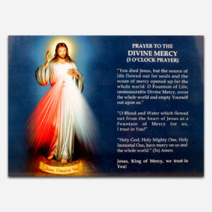Prayer to The Divine Mercy - 28 x 1 x