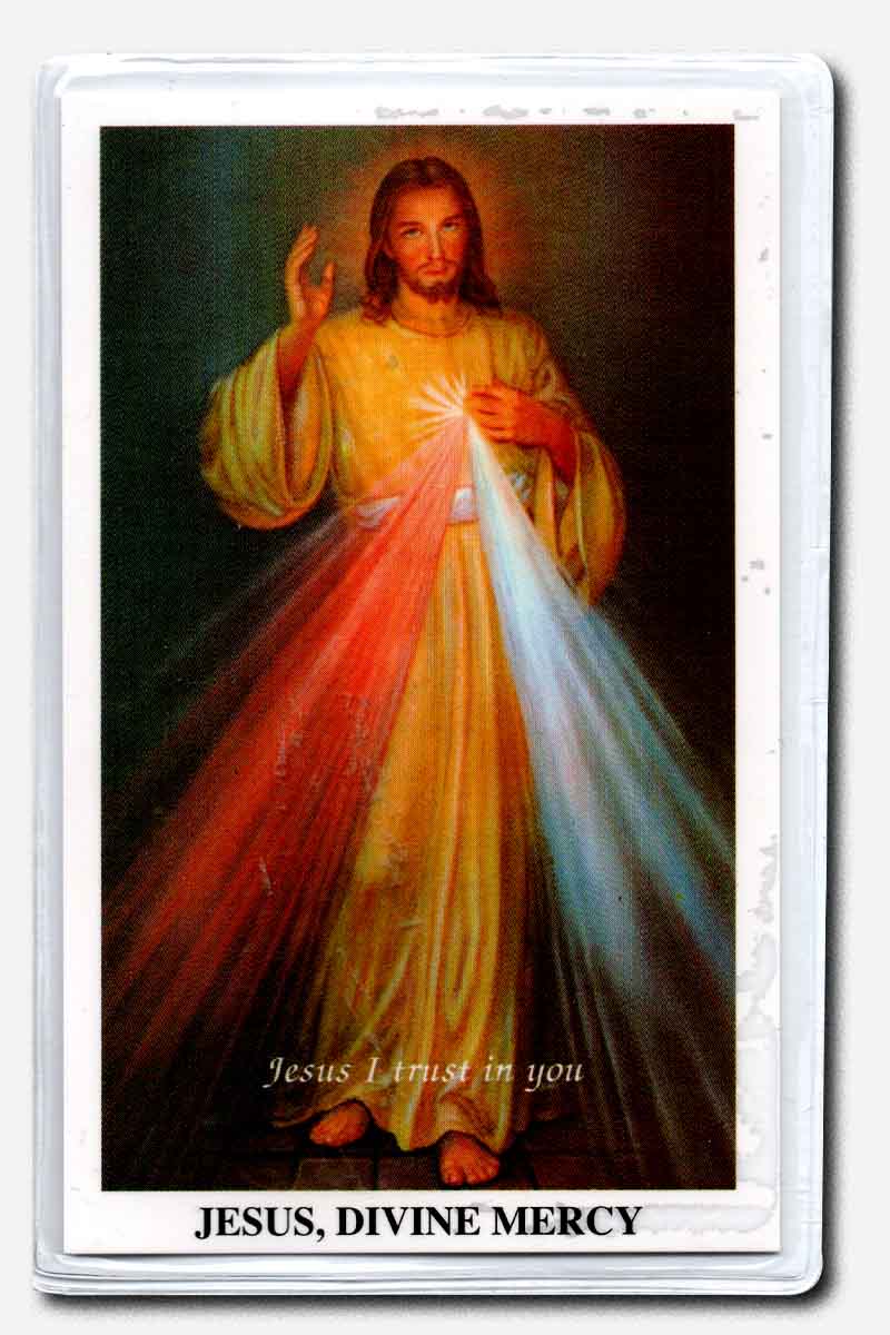 Divine Mercy - 3 OClock Prayer Laminated Stampita