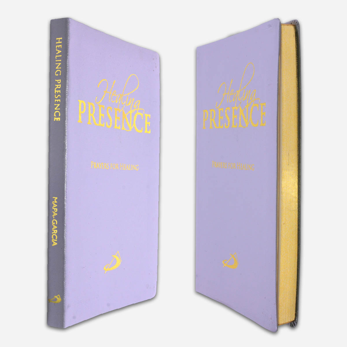 Healing Presence - Image 5