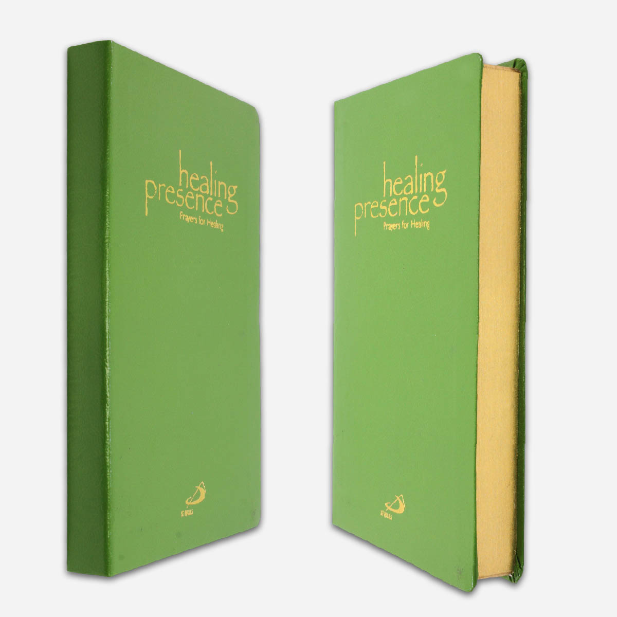 Healing Presence - Image 4