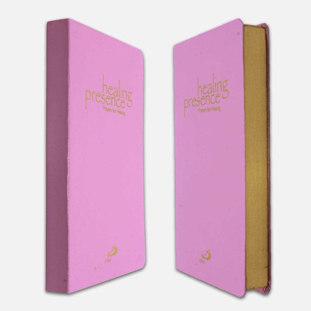 Healing Presence - Image 3