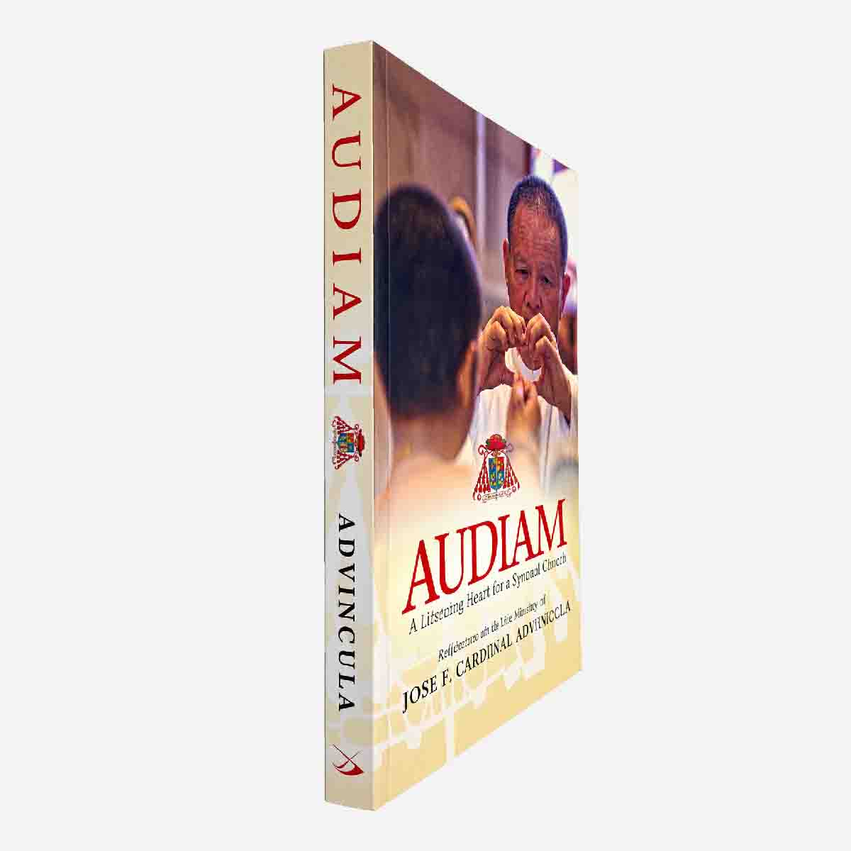 AUDIAM - A Listening Heart for a Synodal Church - Image 3
